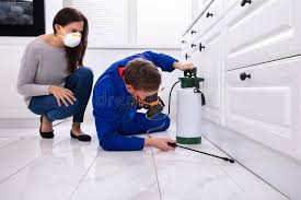 Best Pest Prevention Services  in South Greeley, WY