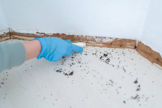 Best Residential Pest Control  in South Greeley, WY